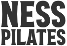 Ness Logo 1